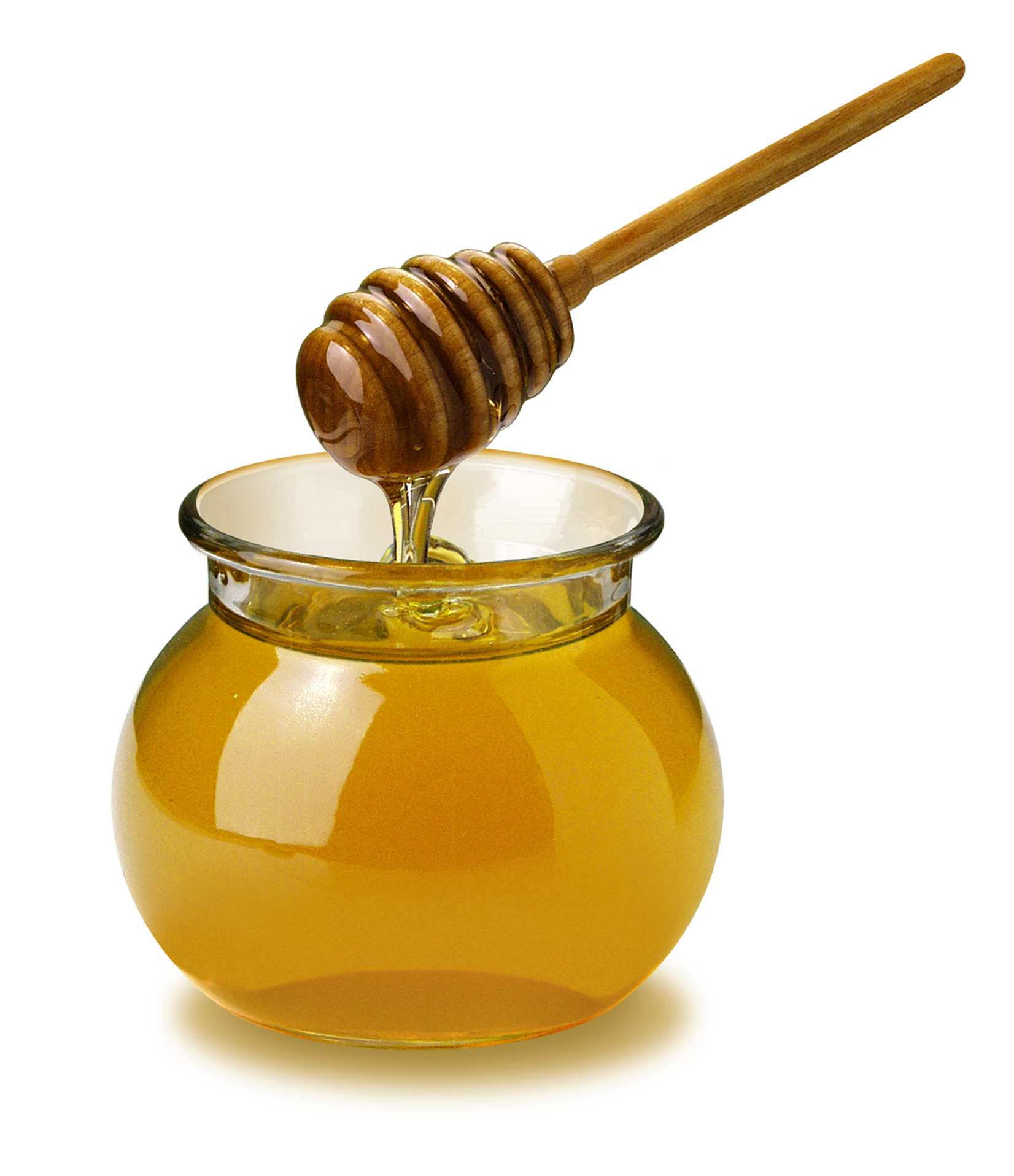 honey-kills-bacteria1.jpg