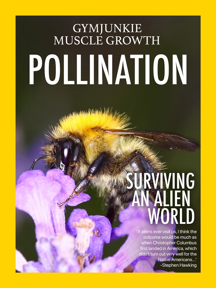 Pollination-1.jpg