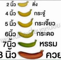 ของสำคัญคุณเรียกอย่างไร? ($-2447)