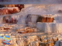 ภาพอุทยานแห่งชาติ yellowstone