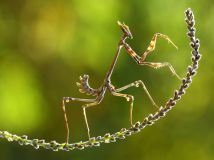 National Geographic Photo Contest 2014